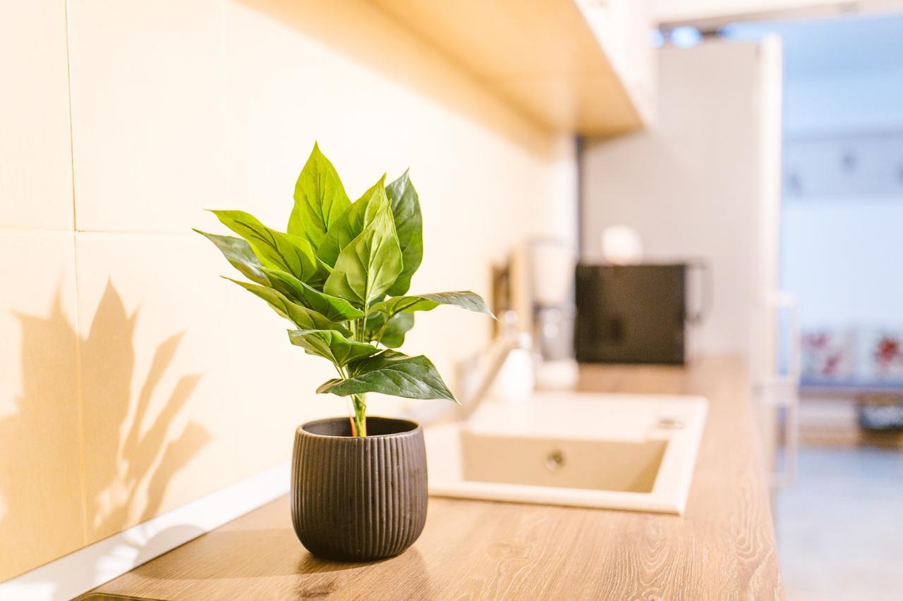 Apartament Maria Alba Iulia Dış mekan fotoğraf